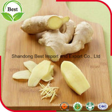 Chinese Fresh Ginger with Cheap Price and High Quality
